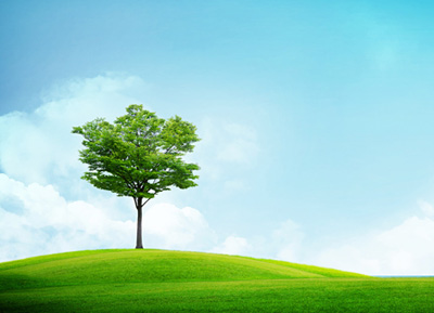 AAA�����ŵȼ�֤��